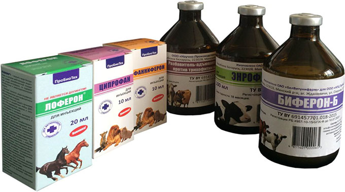 Selling of veterinary drugs needs to be controlled to protect farmers ...