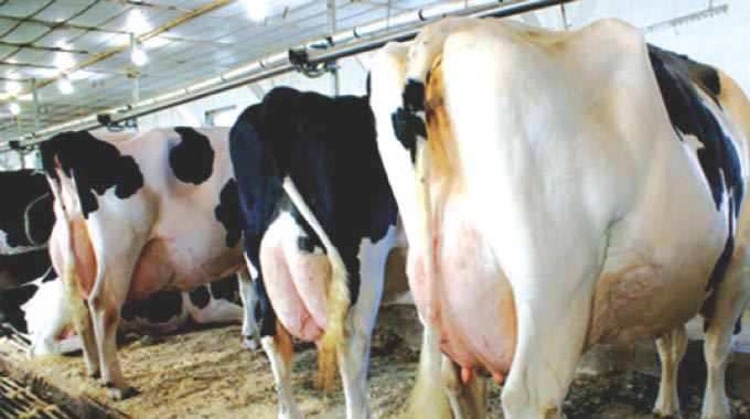 Dairy industry records steady growth | The Sunday News