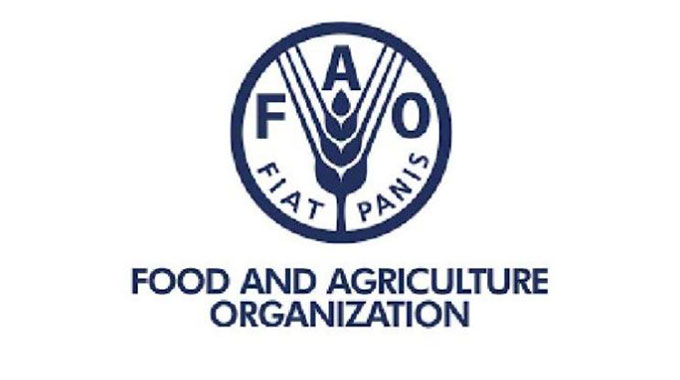 Masvingo secures US$10 million FAO grant