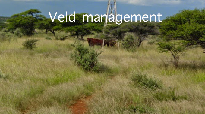 Veld management should be cognisant of the changes in farm carrying ...