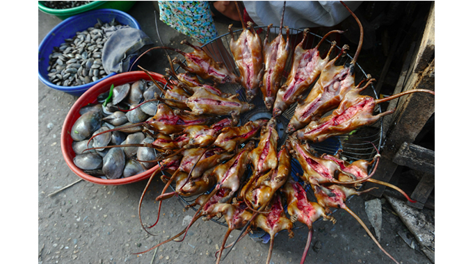 Mice farming: an option that Zimbabwe must pursue to achieve food ...