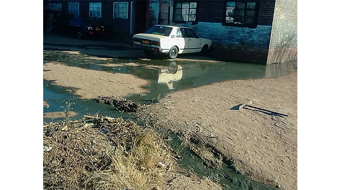 Sewage flows into Ntabazinduna Flats | The Sunday News