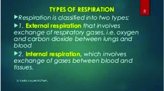 CALA: Frequently asked questions about the respiratory system | The ...