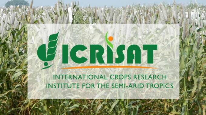 Icrisat improve small-scale irrigation systems | The Sunday News