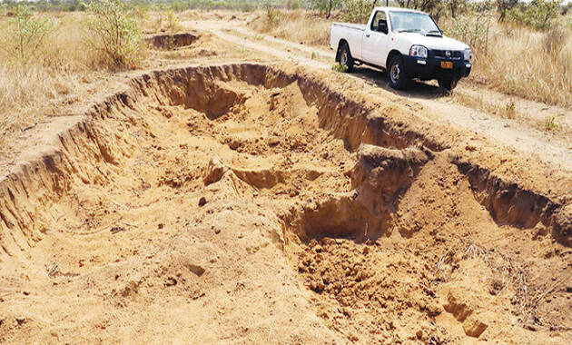 WATCH: Illegal cutting of trees and sand poaching a menace in Matobo ...